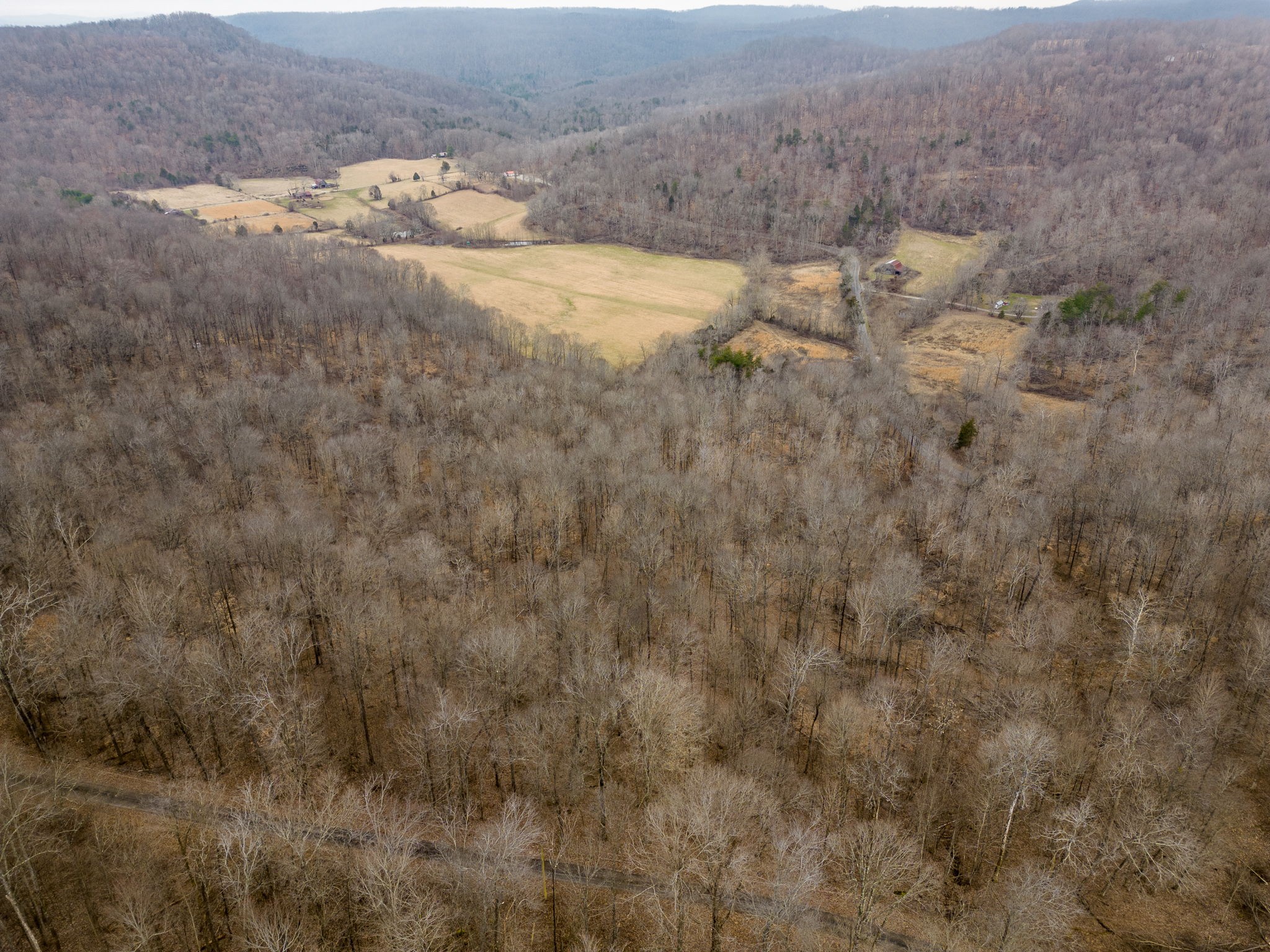 0 Round Cove Road Sparta, TN 38583 - Photo 12 of 17 Gallery Image 12