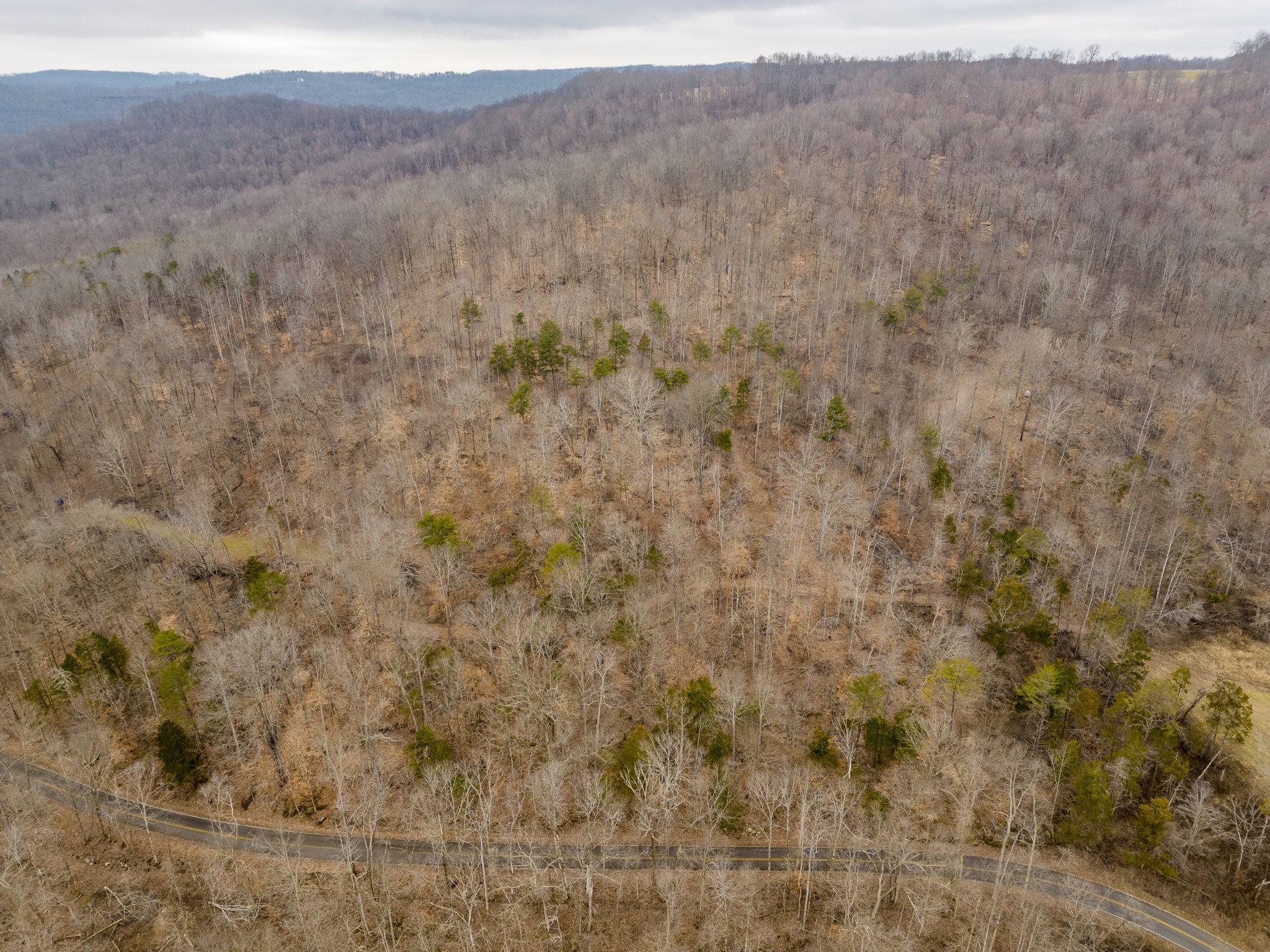 0 Round Cove Road Sparta, TN 38583 - Photo 14 of 17 Gallery Image 14