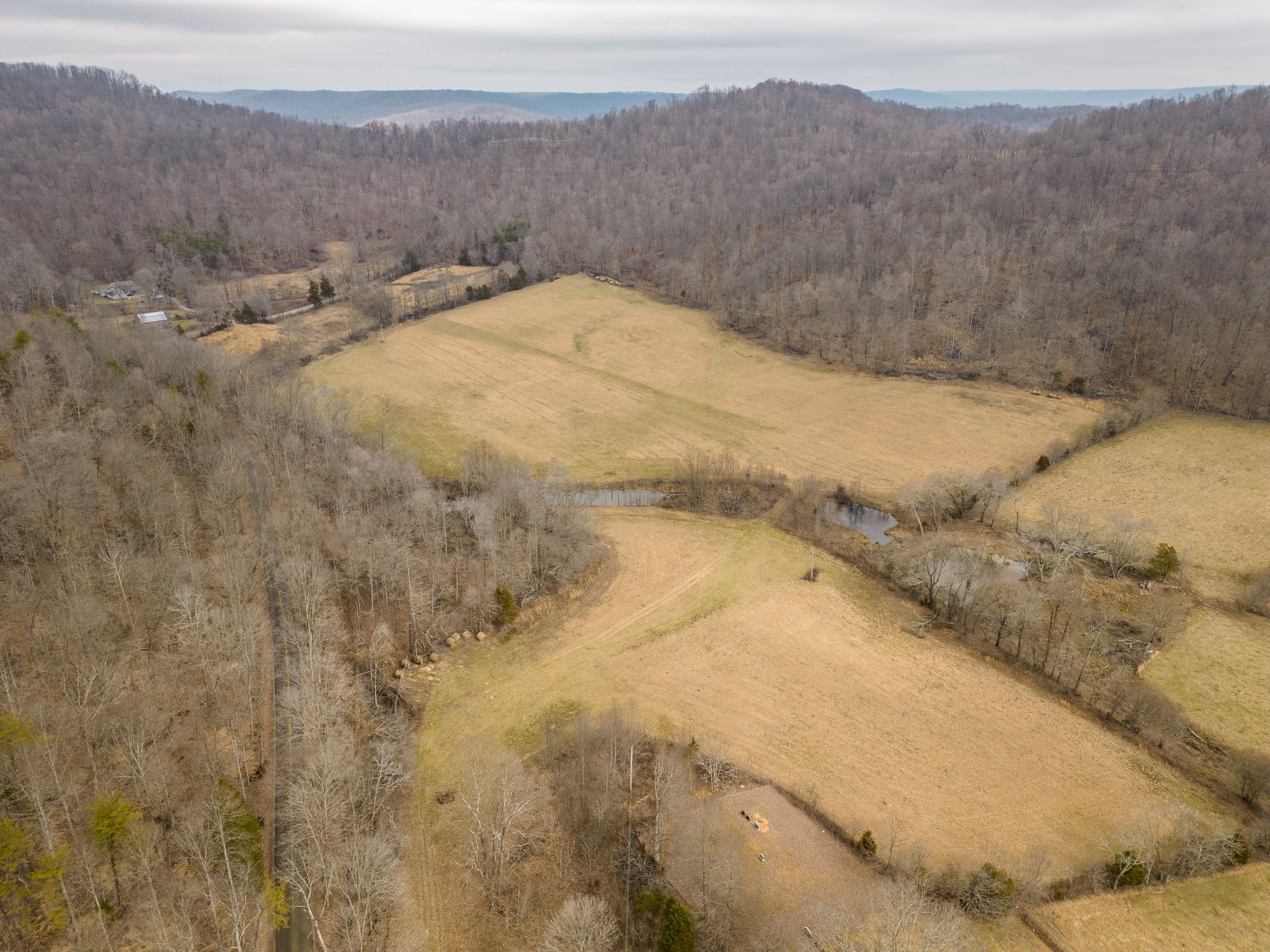 0 Round Cove Road Sparta, TN 38583 - Photo 3 of 17 Gallery Image 3