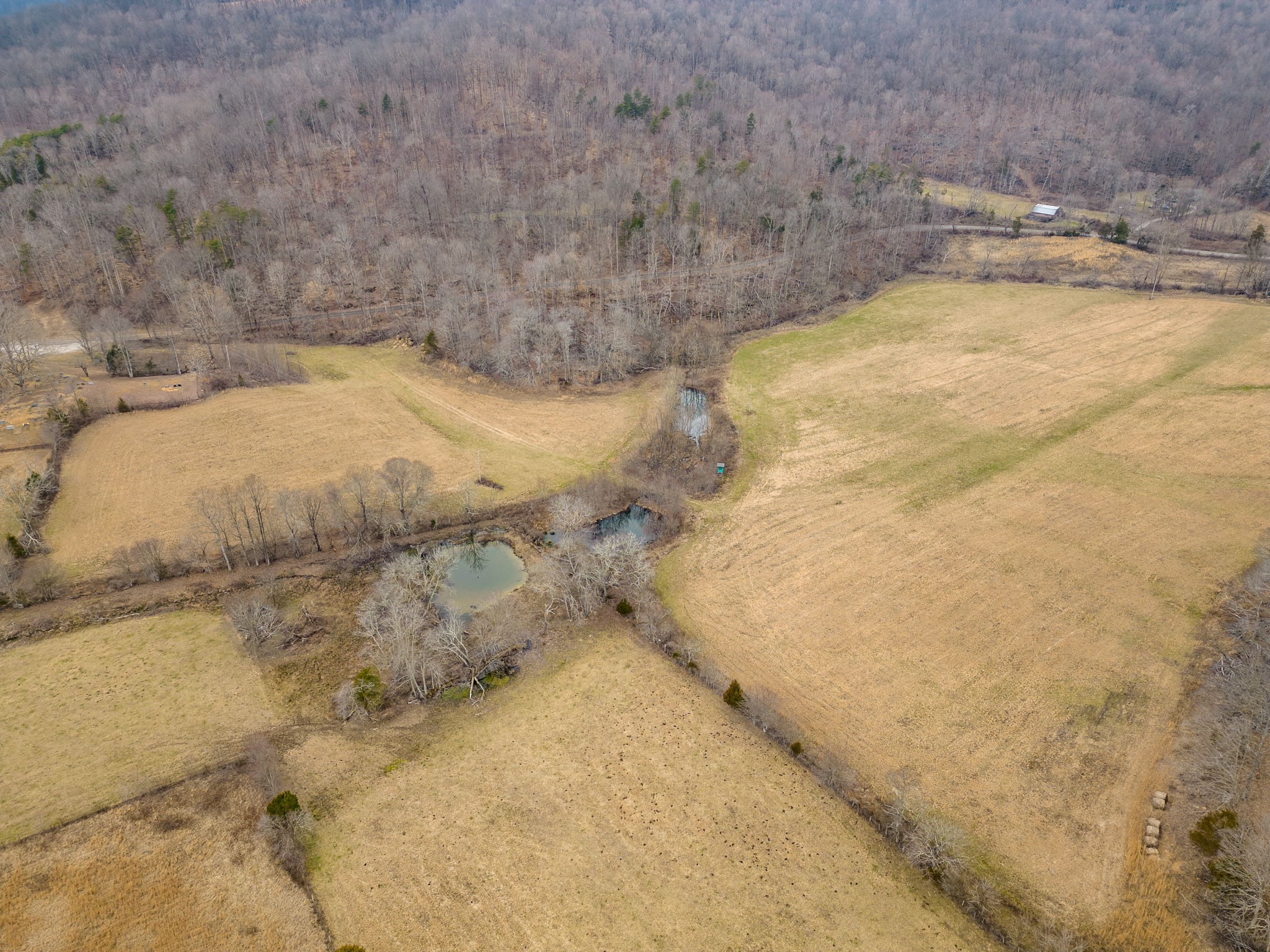 0 Round Cove Road Sparta, TN 38583 - Photo 4 of 17 Gallery Image 4