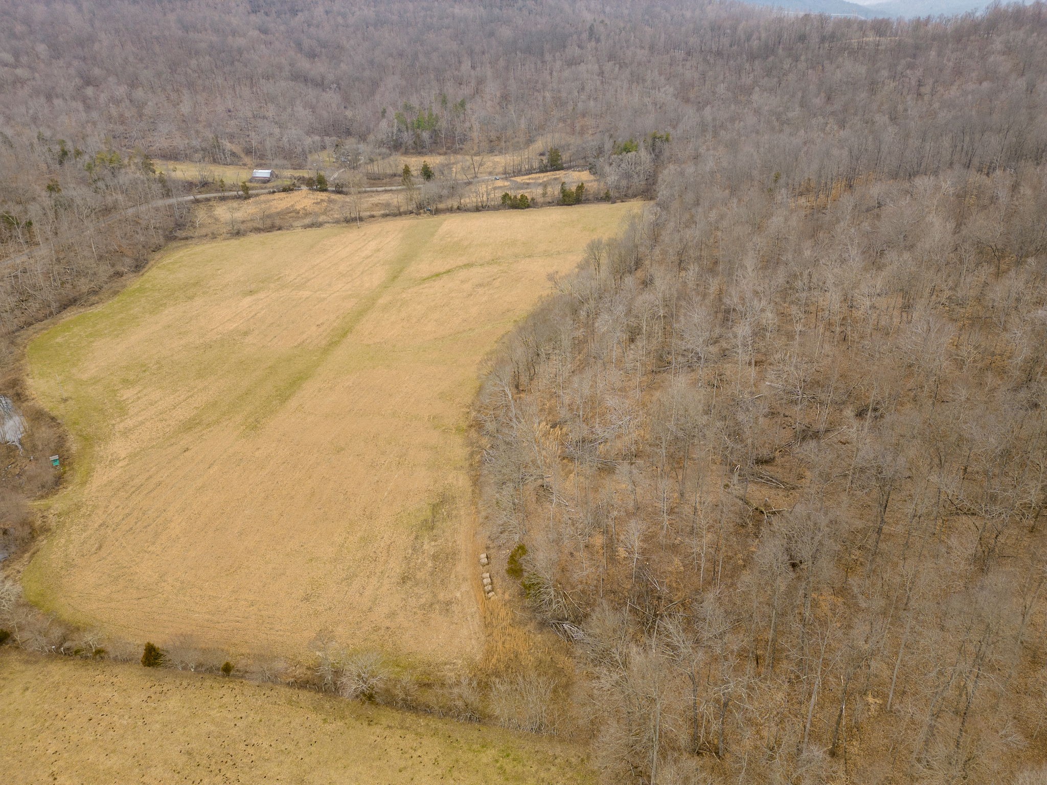 0 Round Cove Road Sparta, TN 38583 - Photo 5 of 17 Gallery Image 5