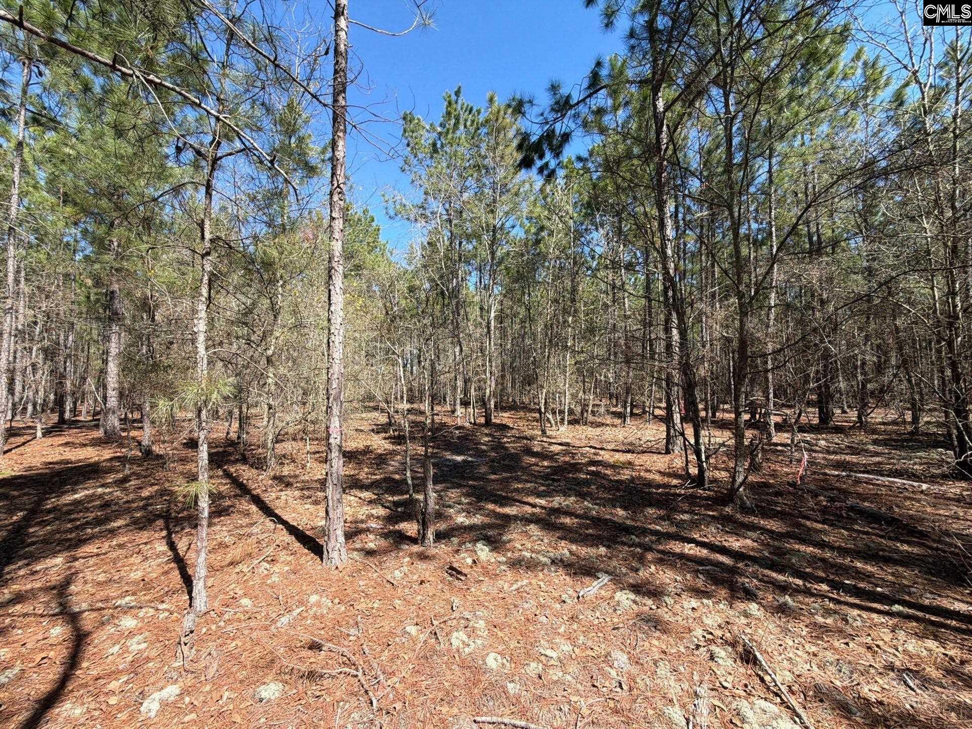 12 Boise Cascade Road, Unit BHL 12 Bethune, SC 29009 - Photo 17 of 20