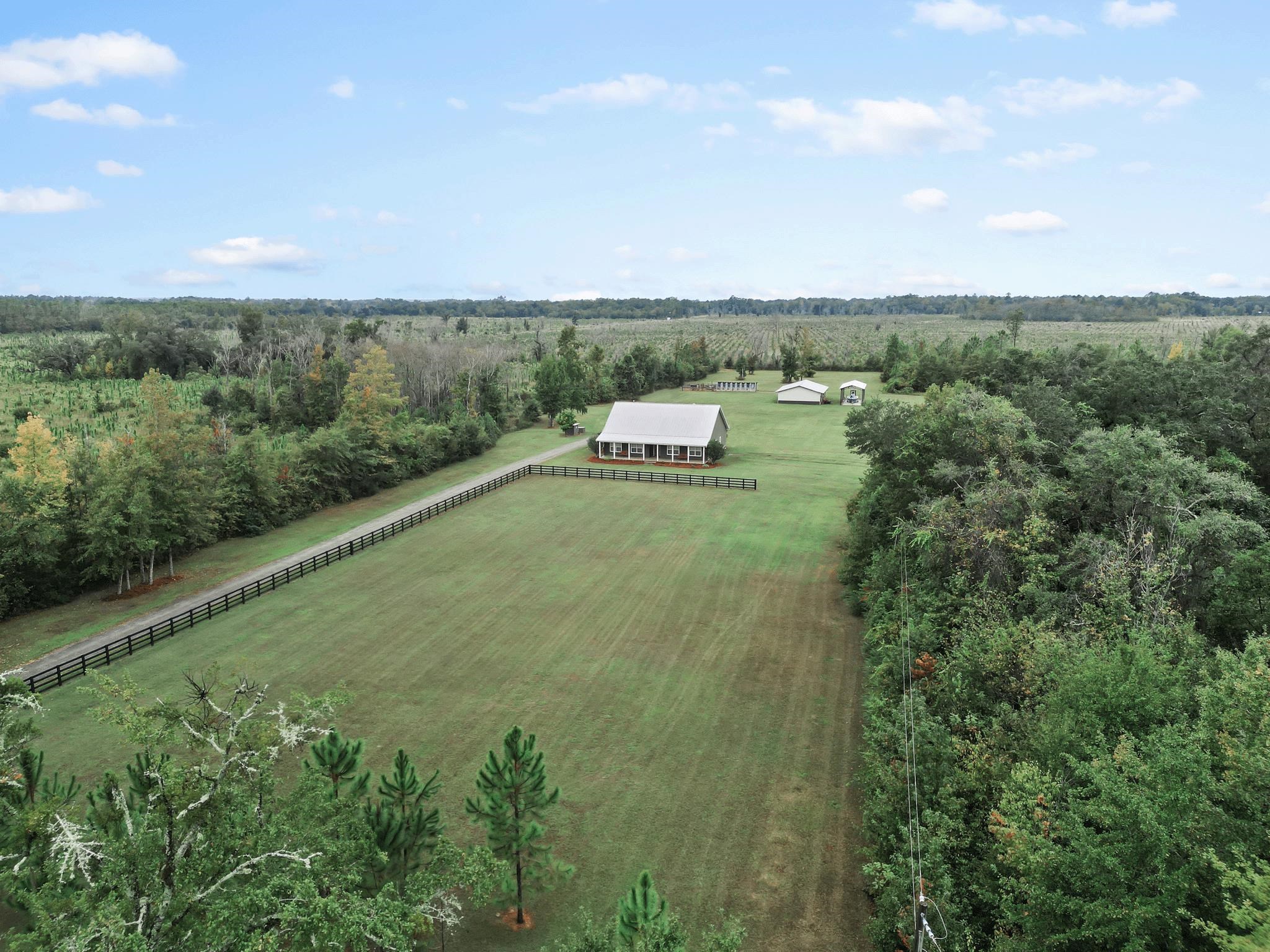 16815 County Road 379 Bristol, FL 32321 - Photo 43 of 68