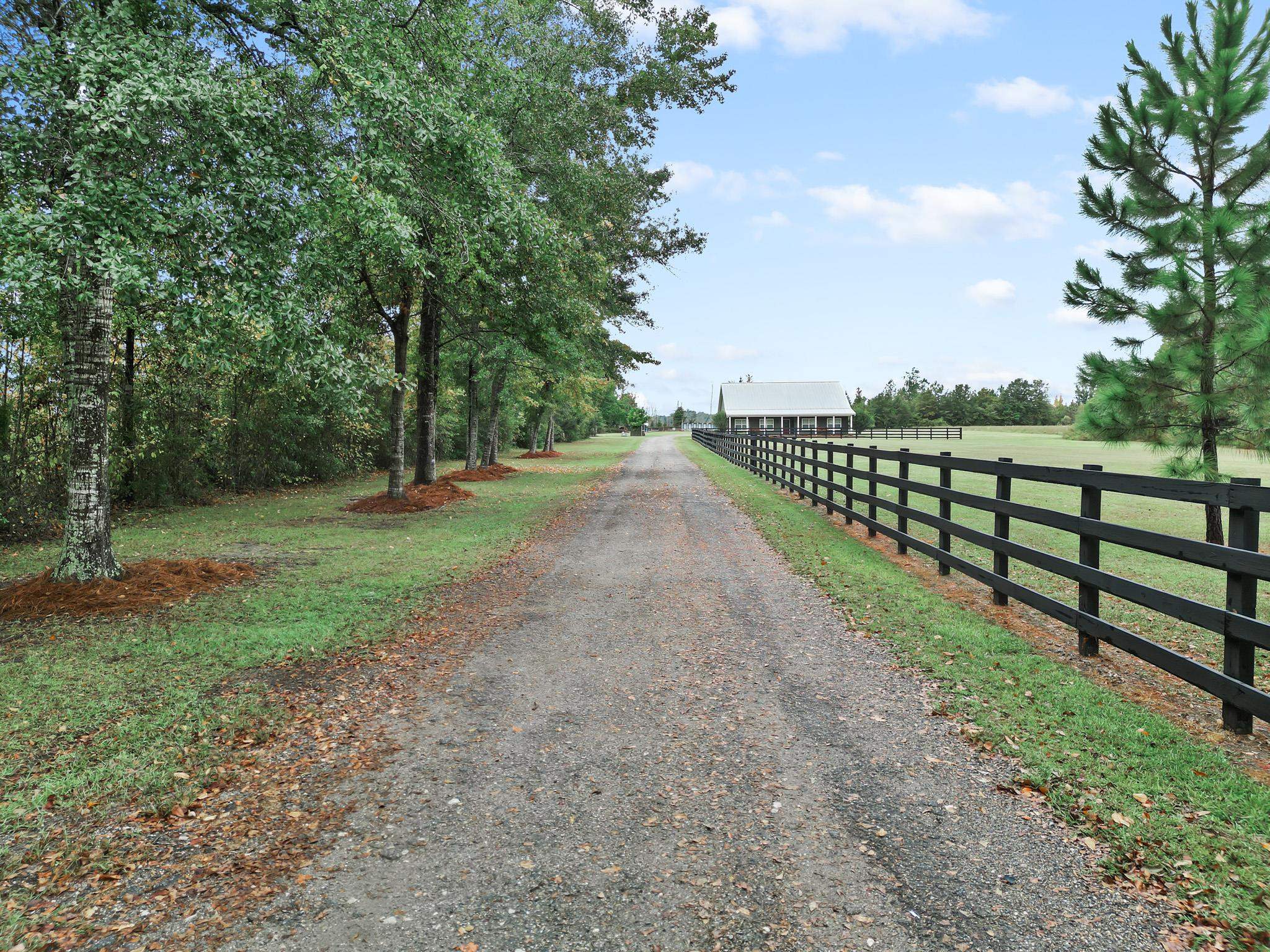 16815 County Road 379 Bristol, FL 32321 - Photo 46 of 68