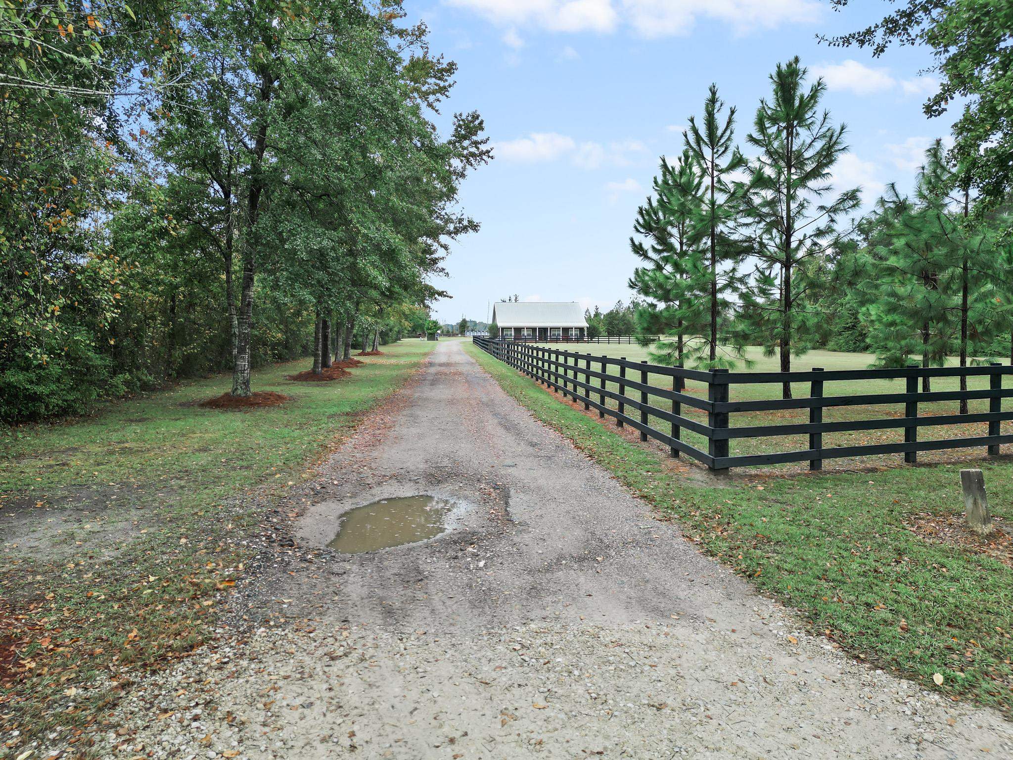 16815 County Road 379 Bristol, FL 32321 - Photo 48 of 68