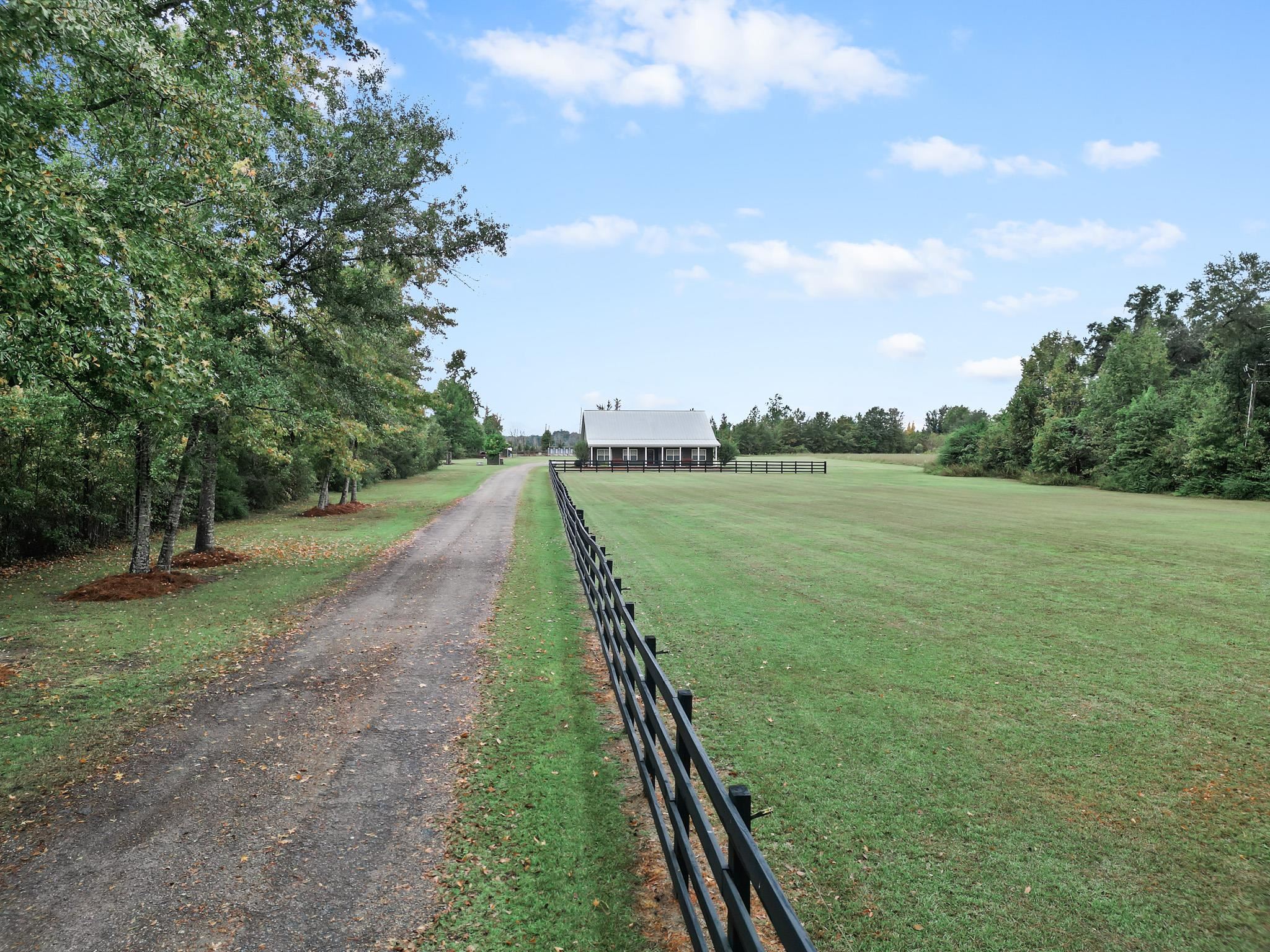 16815 County Road 379 Bristol, FL 32321 - Photo 49 of 68