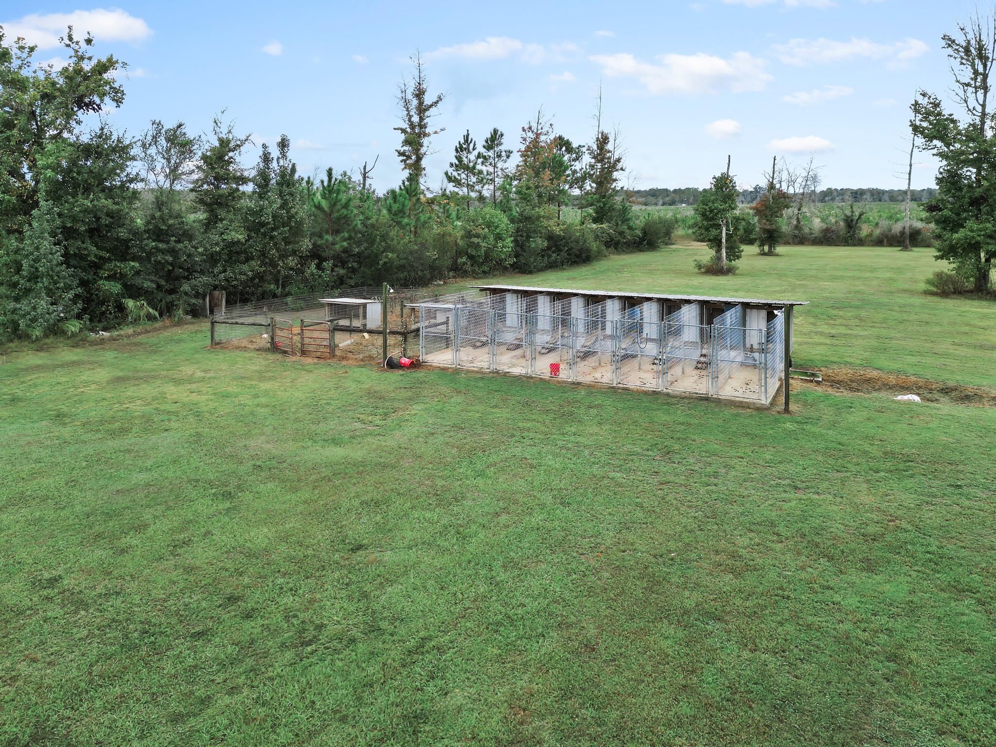 16815 County Road 379 Bristol, FL 32321 - Photo 51 of 68
