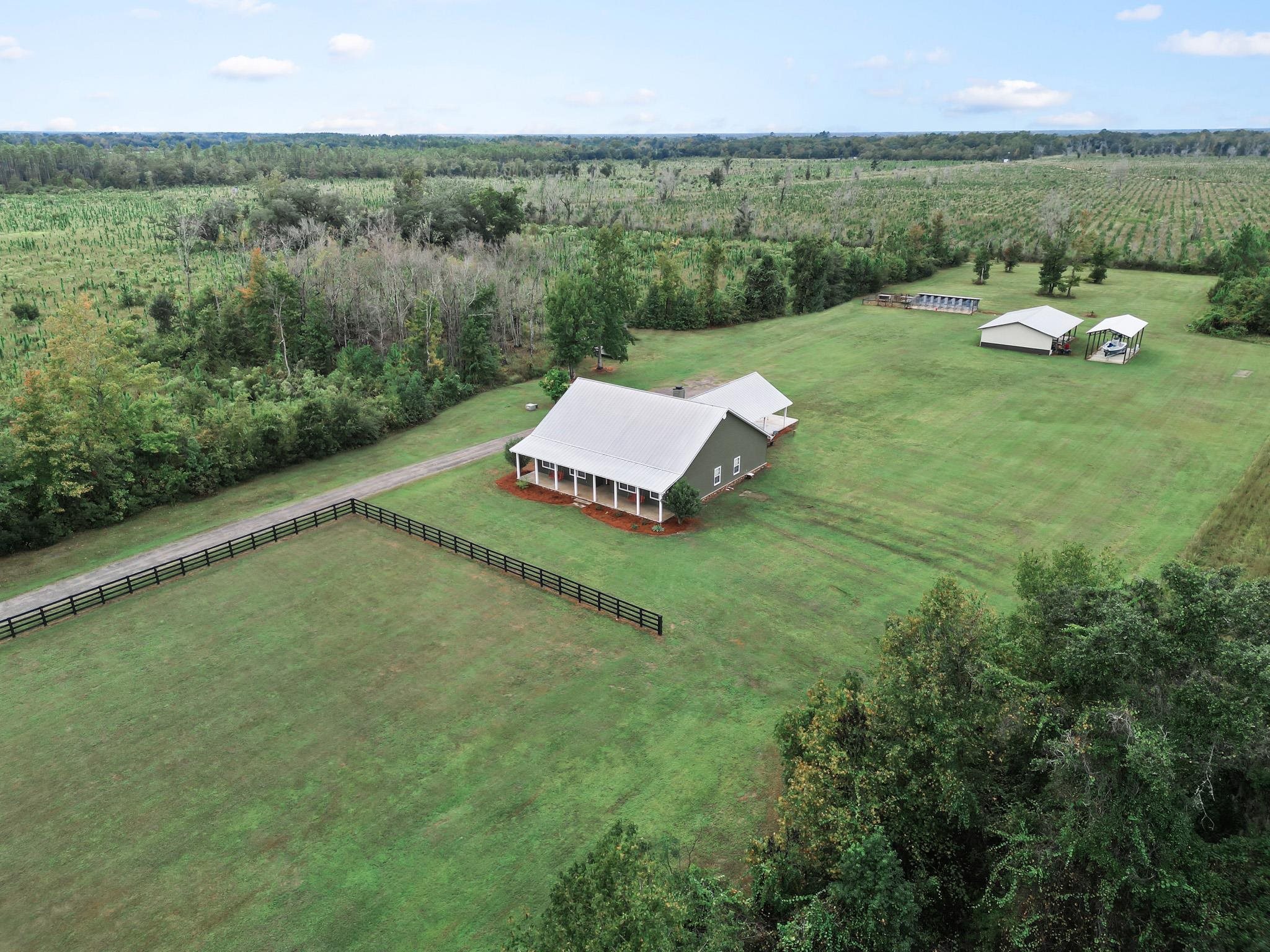 16815 County Road 379 Bristol, FL 32321 - Photo 54 of 68