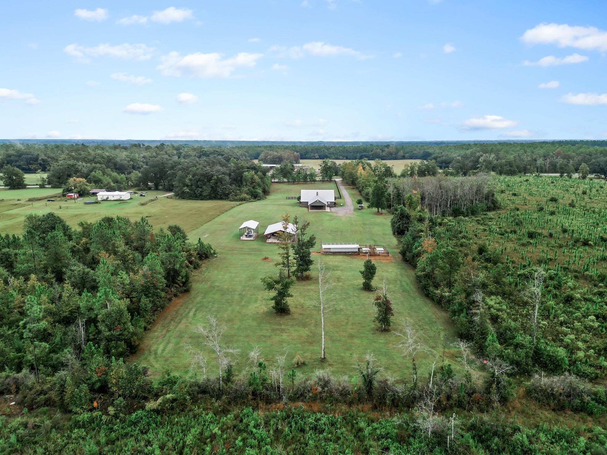 16815 County Road 379 Bristol, FL 32321 - Photo 62 of 68