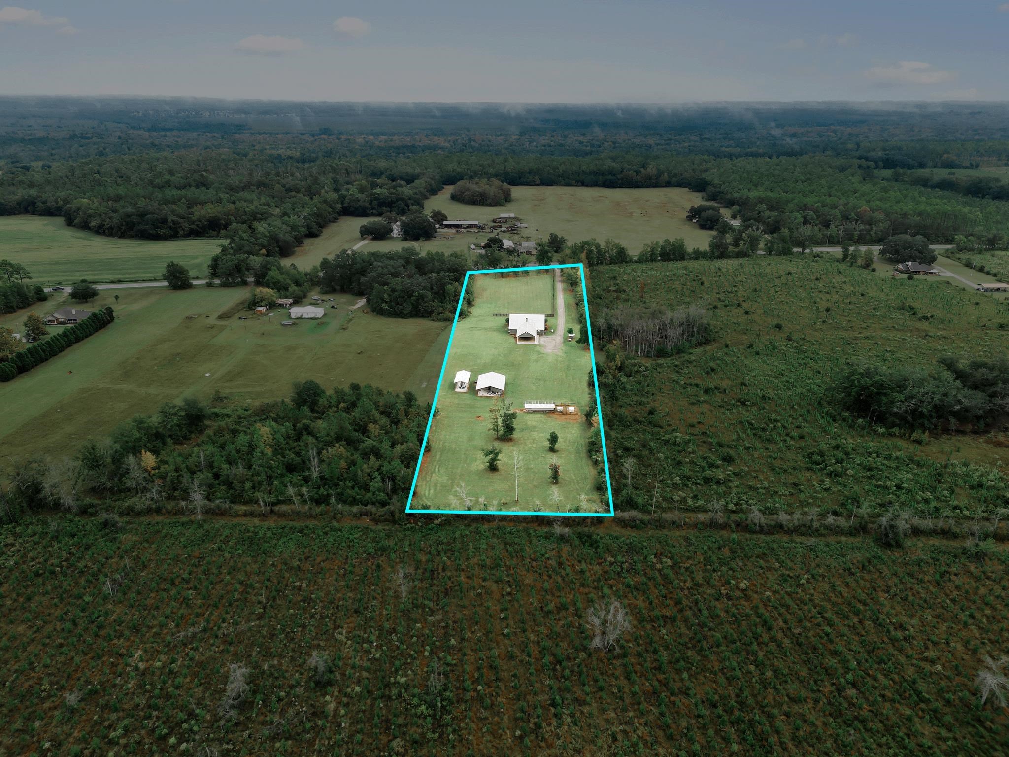 16815 County Road 379 Bristol, FL 32321 - Photo 65 of 68