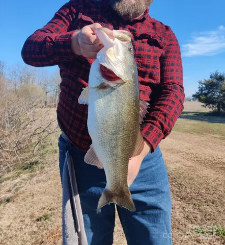a backyard of a house with barbeque oven table and chairs