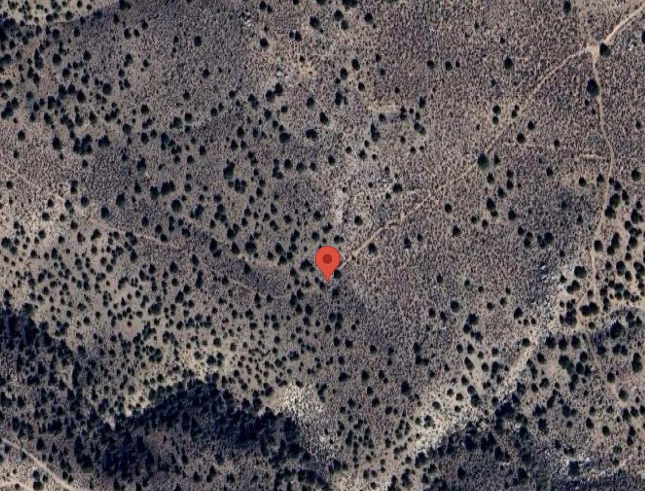 750-550 Turtle Mountain Road Doyle, CA 96109 - Photo 5 of 8 Gallery Image 5