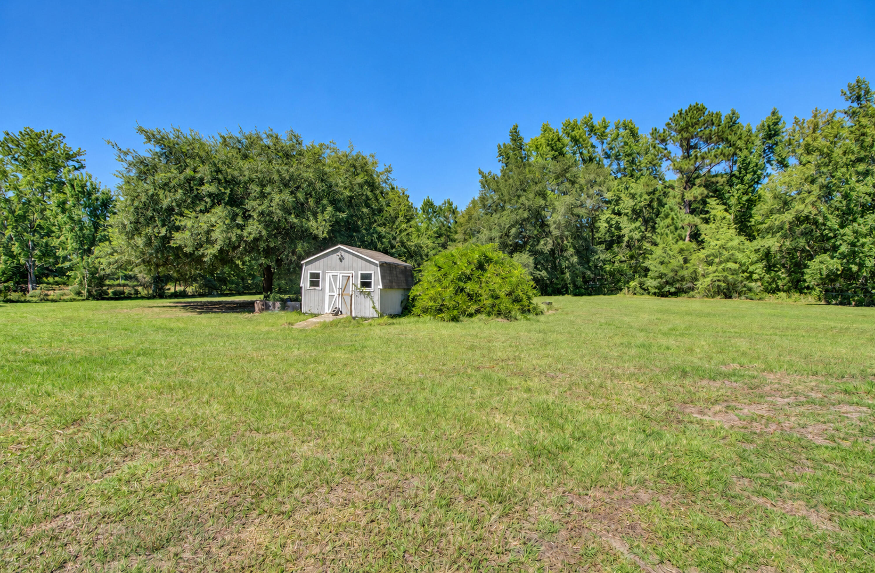 6230 Hyde Park Road Ravenel, SC 29470 - Photo 9 of 59 Yard