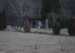 443 Old Bush Mill Road Bremen, GA 30110 - Photo 2 of 3 a couple of table and chairs in yard