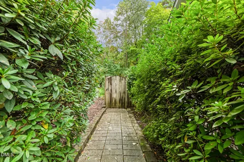 a view of a pathway with plants