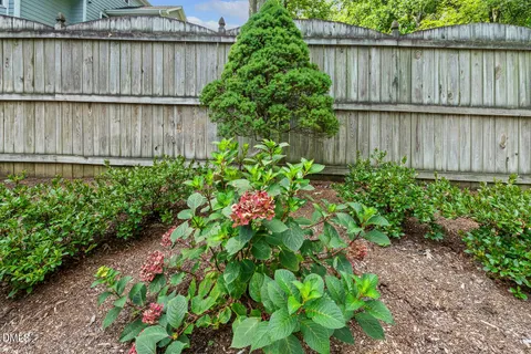 a view of a bunch of flowers