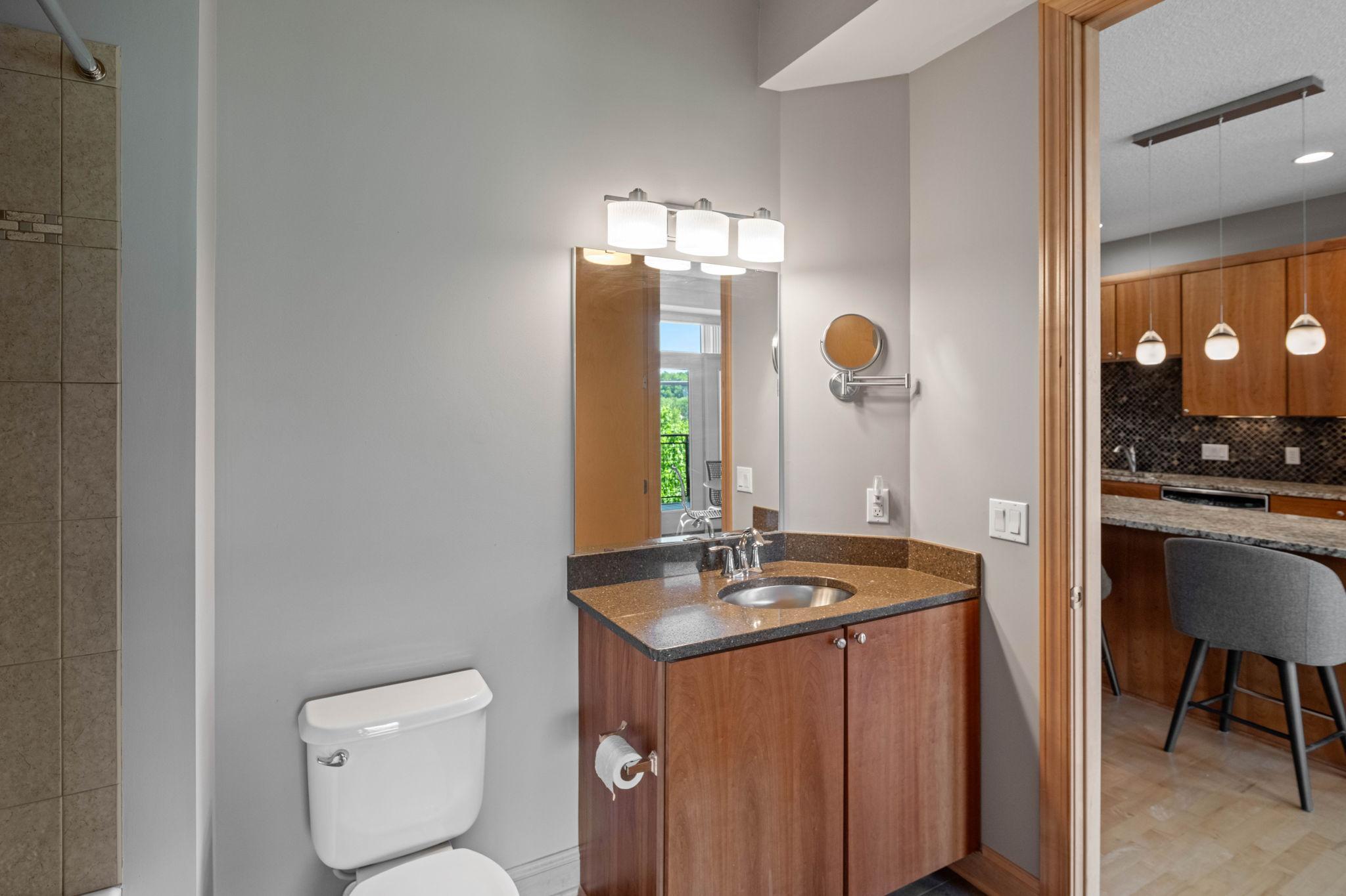 240 Spring Street, Unit 310 St. Paul, MN 55102 - Photo 30 of 33