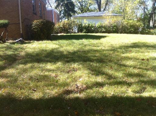 1450 Birch Road Homewood, IL 60430 - Photo 11 of 11 a view of outdoor space and yard
