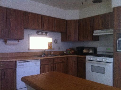 1450 Birch Road Homewood, IL 60430 - Photo 3 of 11 a kitchen with kitchen island granite countertop wooden cabinets a stove a sink and dishwasher