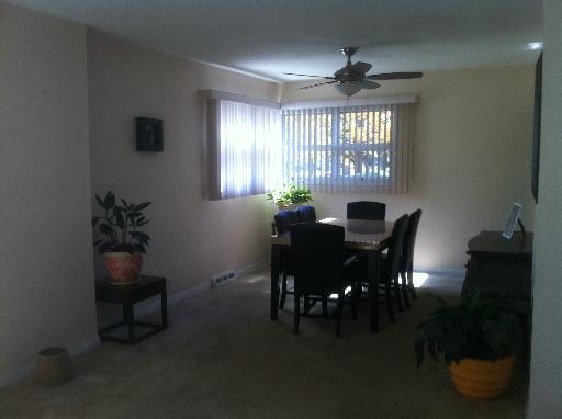 1450 Birch Road Homewood, IL 60430 - Photo 4 of 11 a view of a dining room with furniture and window
