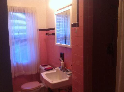 1450 Birch Road Homewood, IL 60430 - Photo 5 of 11 a bathroom with a sink toilet and shower