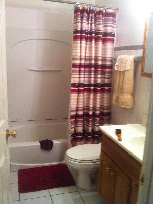 1450 Birch Road Homewood, IL 60430 - Photo 7 of 11 a bathroom with a sink toilet and shower