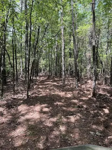 $395,000 | 0 Cr-3401, Avery, TX 75554