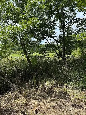 $395,000 | 0 Cr-3401, Avery, TX 75554