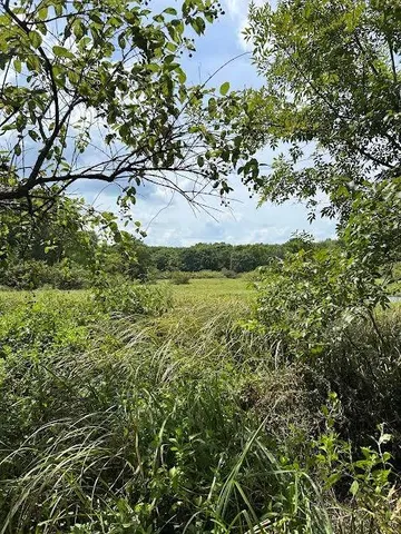 $395,000 | 0 Cr-3401, Avery, TX 75554