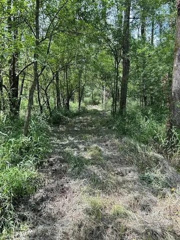 $395,000 | 0 Cr-3401, Avery, TX 75554