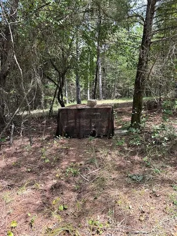 $395,000 | 0 Cr-3401, Avery, TX 75554