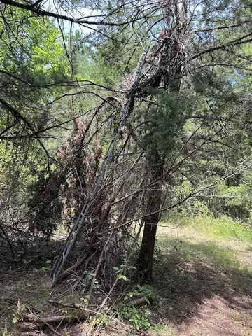 $395,000 | 0 Cr-3401, Avery, TX 75554