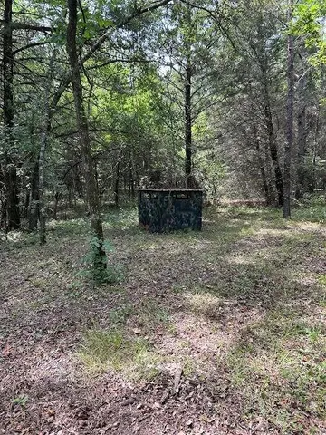 $395,000 | 0 Cr-3401, Avery, TX 75554