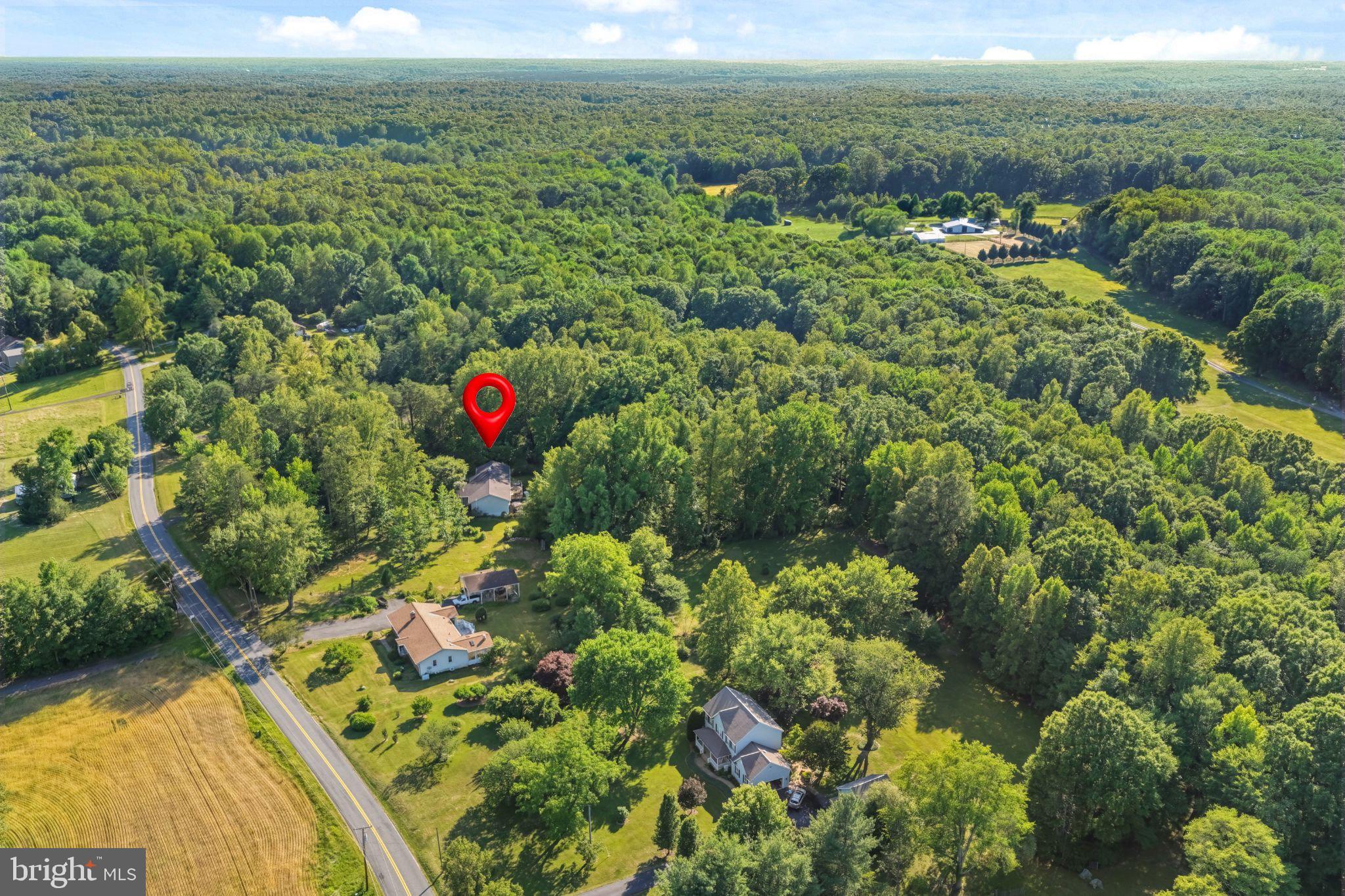 230 Richards Ferry Road Fredericksburg, VA 22406 - Photo 69 of 96 Serene retreat amidst lush greenery.