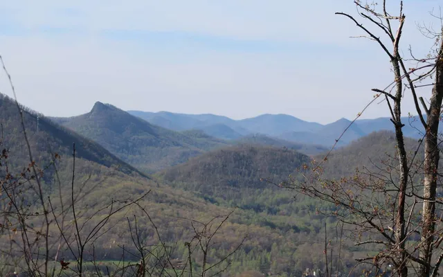 $30,000 | 11 The Pinnacle, Hayesville, NC 28904