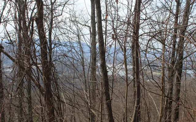 $30,000 | 11 The Pinnacle, Hayesville, NC 28904