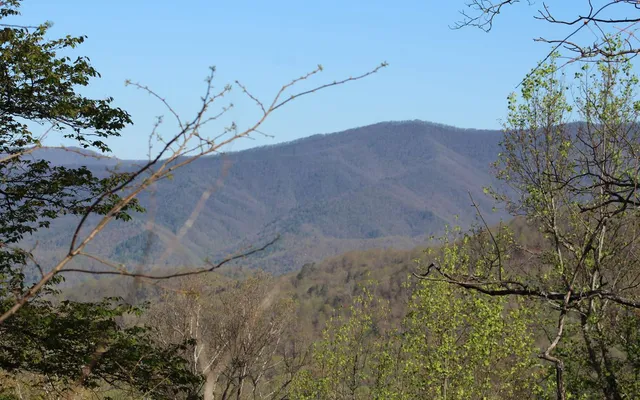 $30,000 | 11 The Pinnacle, Hayesville, NC 28904