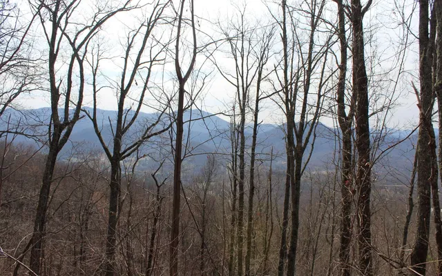 $30,000 | 11 The Pinnacle, Hayesville, NC 28904