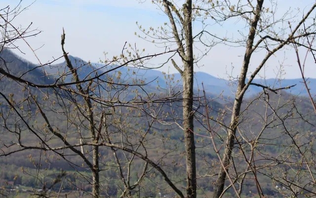 $30,000 | 11 The Pinnacle, Hayesville, NC 28904