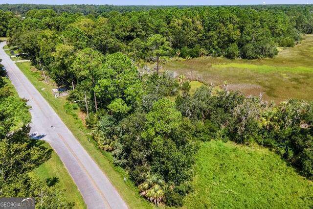 Lot 15 Dufour Rd Street St. Marys, GA 31558 - Photo 11 of 13