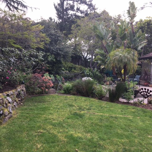 a view of a backyard