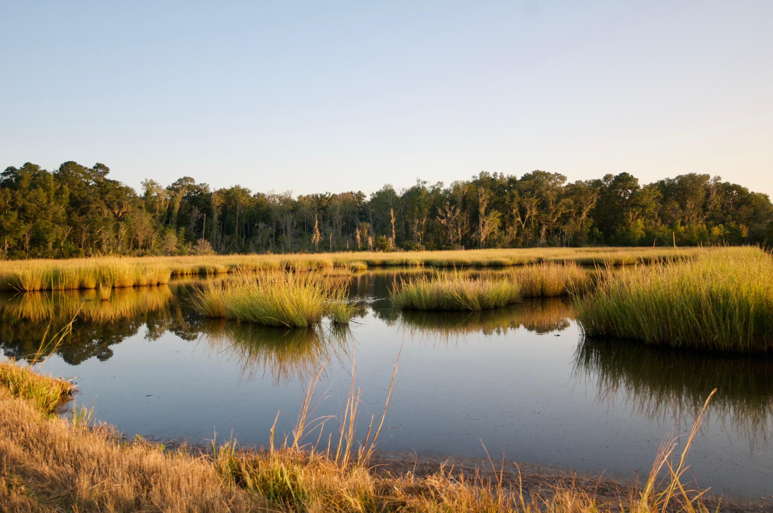 300 State Rd S-7-48 Yemassee, SC 29945 - Photo 50 of 53 Brackish Impoundment