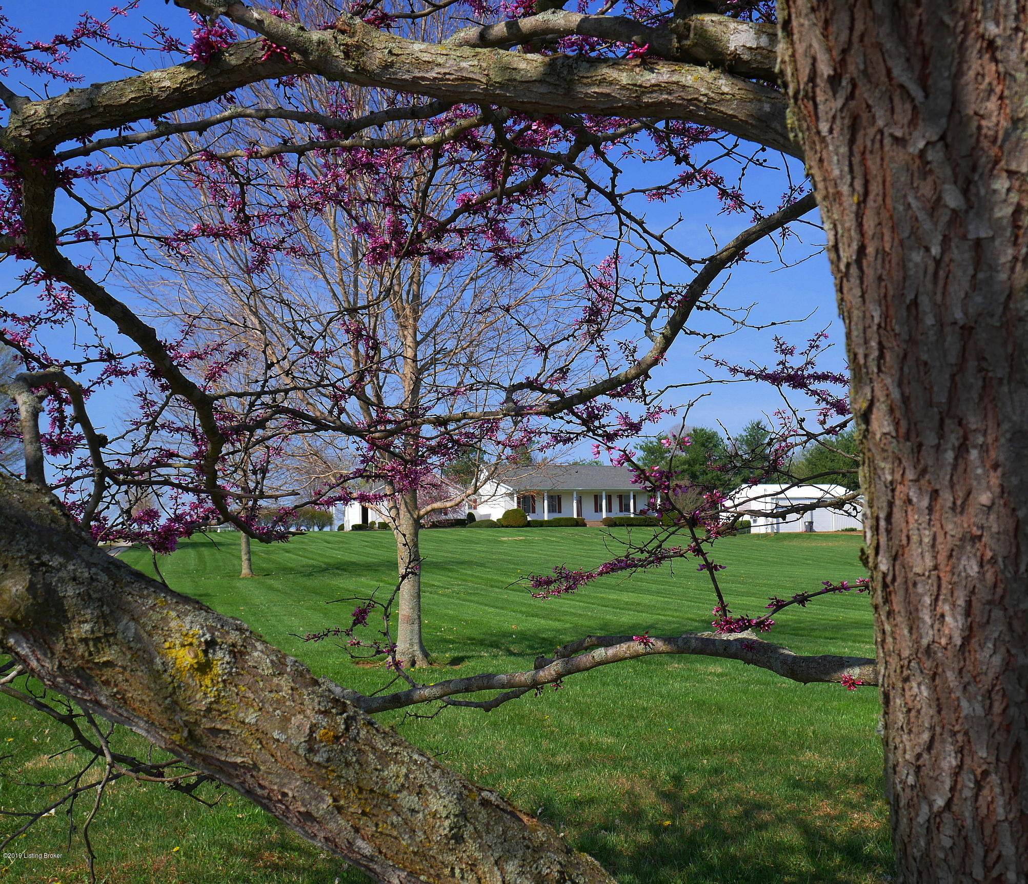 945 Fred Fackler Road Brandenburg, KY 40108 - Photo 55 of 103 945 Fred Fackler Resize (5)