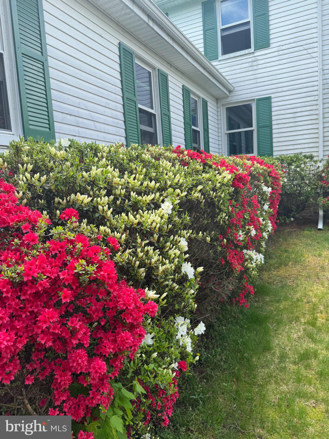 12704 Newland Road Warsaw, VA 22572 - Photo 8 of 8 Vibrant blooms frame a charming home.