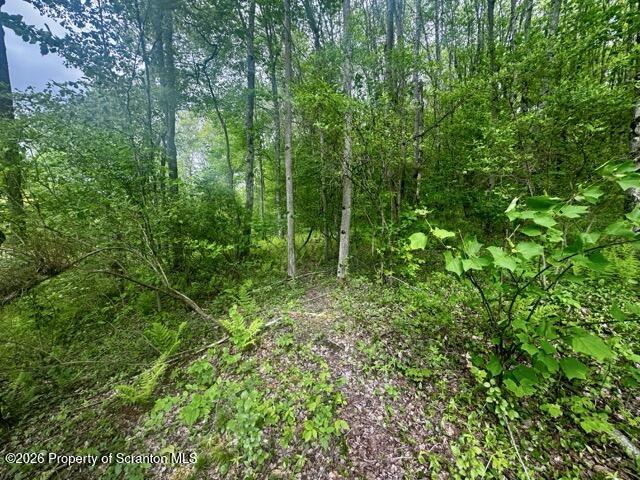 Marvins Road Susquehanna, PA 18847 - Photo 6 of 17 IMG_2822 Medium