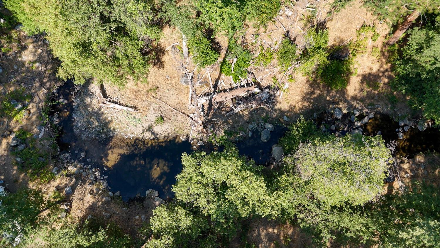 0 Whitaker Forest Road Miramonte, CA 93603 - Photo 63 of 78
