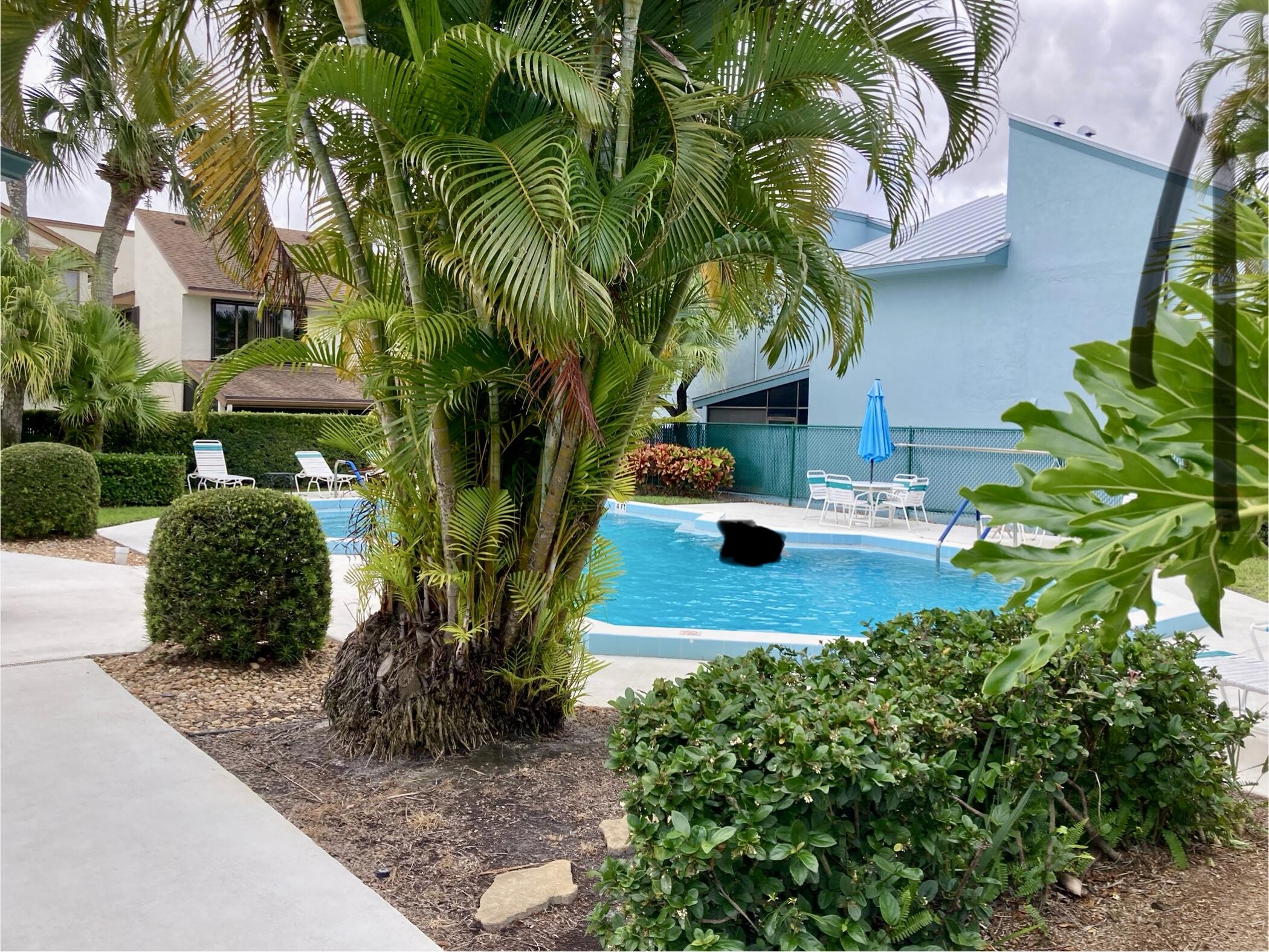 950 South Kanner Highway, Unit E23 Stuart, FL 34994 - Photo 3 of 15 Pool