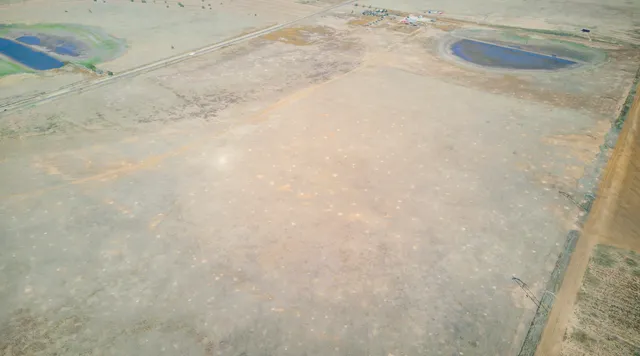 a view of a dry field with trees in the background