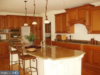 421 Sycamore Mills Road Media, PA 19063 - Photo 3 of 6