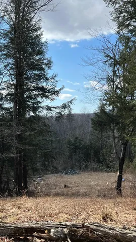 $100,000 | 1153 Faulkner Road, Whitingham, VT 05361